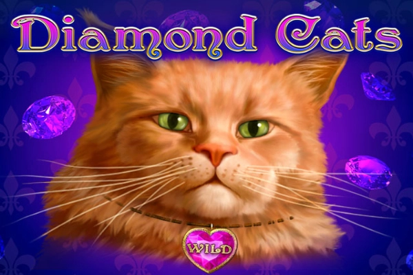 00217 diamond cats