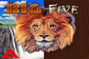 00761 big five