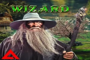 00841 wizard