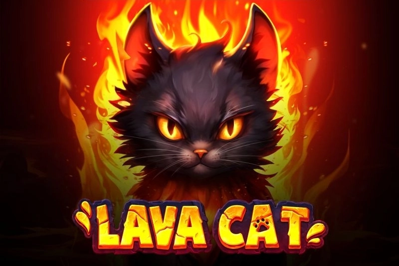01677 lava cat