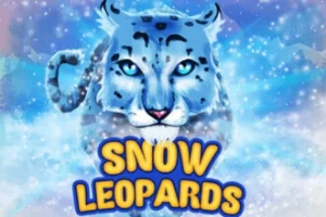 12114 snow leopards