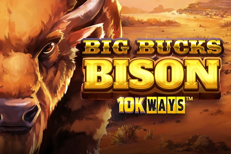 19737 big bucks bison 10k ways